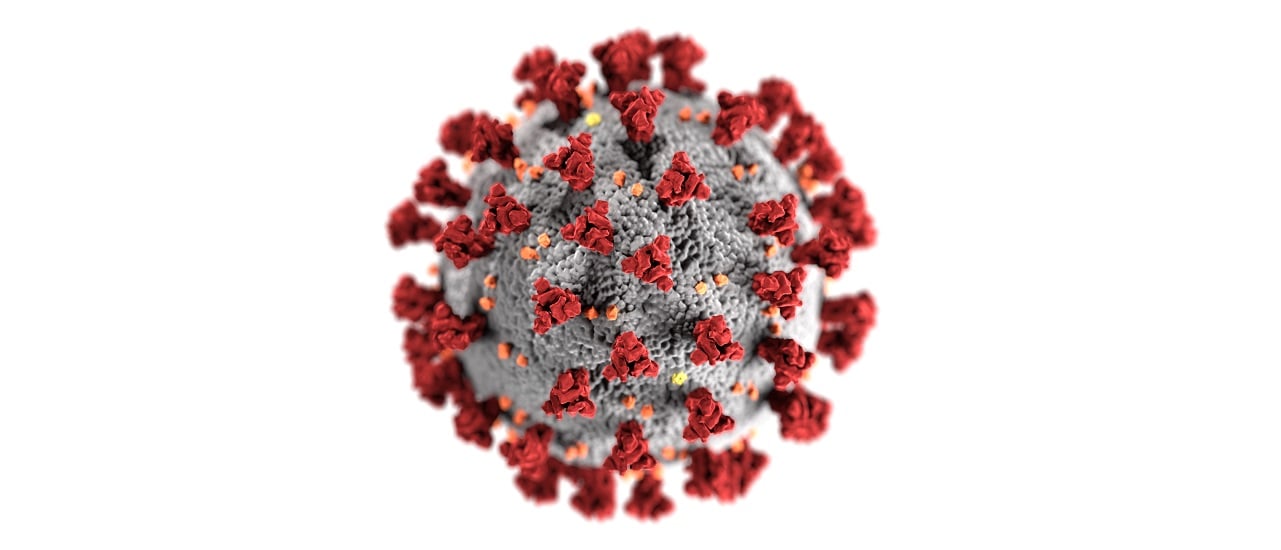 coronavirus33